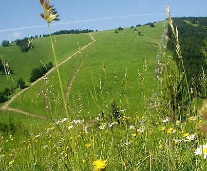 Harmony Ap * Rózsahegy