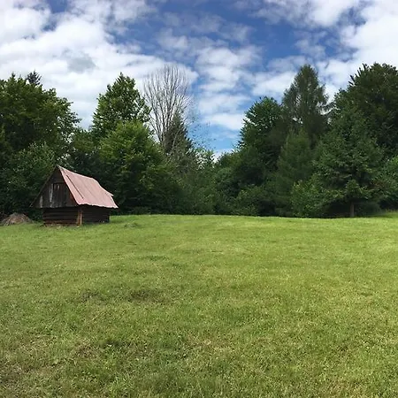 Harmony Ap 루좀베로크