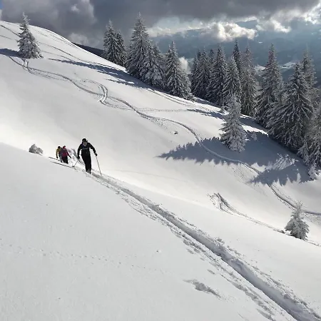 Harmony Ap 아파트 *